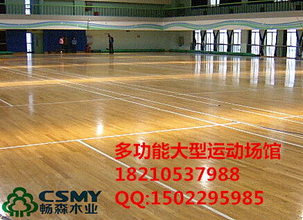 舟山运动木地板及塑胶地板价格指南与配套效果展示